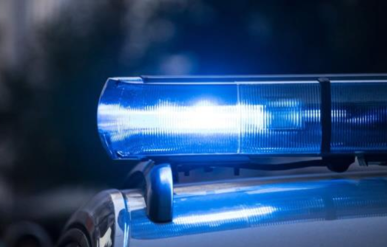 西班牙逮捕11名参与偷渡移民的人