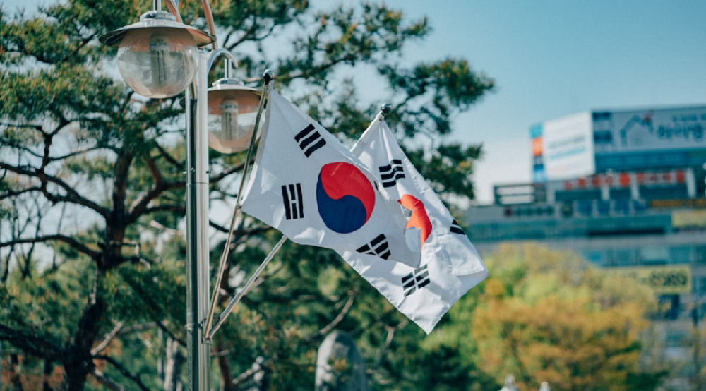 韩国存款移民金额大涨