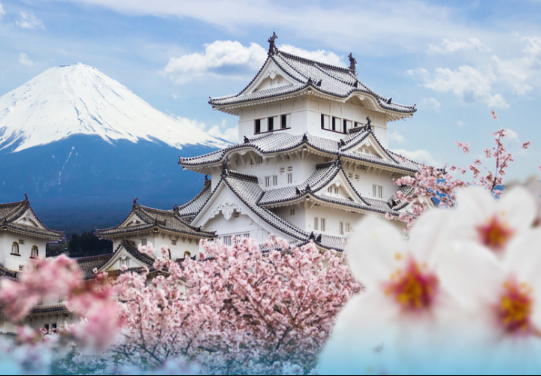日本驻科索沃大使馆开始发放签证