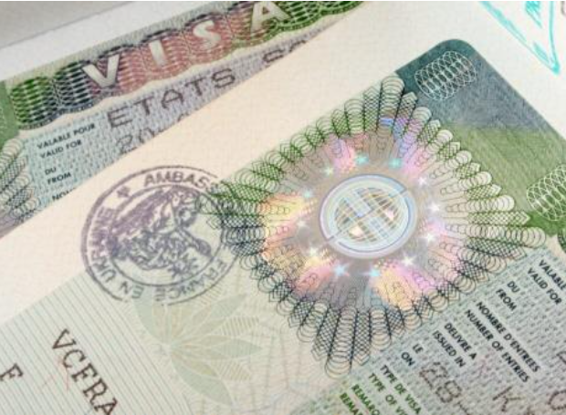 波兰调查IT公司发放给外国专家的未使用的工作签证