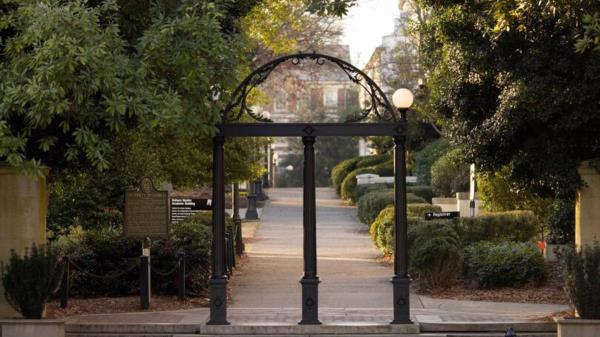 佐治亚大学研究:人类正在改变树叶分解率