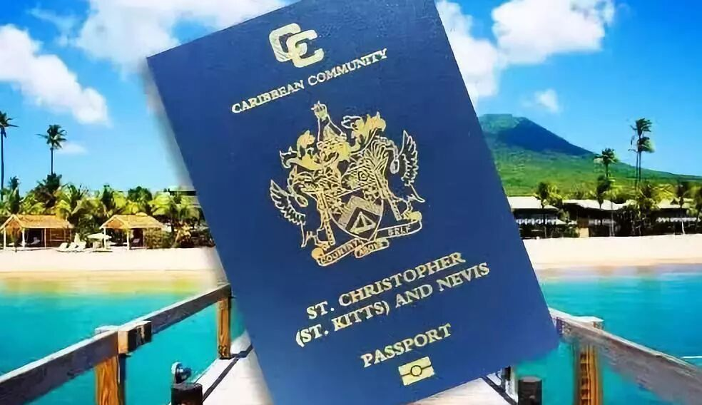 全球移民最快的国家!